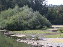 Moehnesee