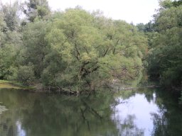 Moehnesee