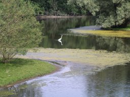 Moehnesee